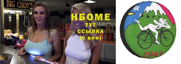сатива Козловка