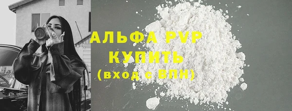 сатива Козловка