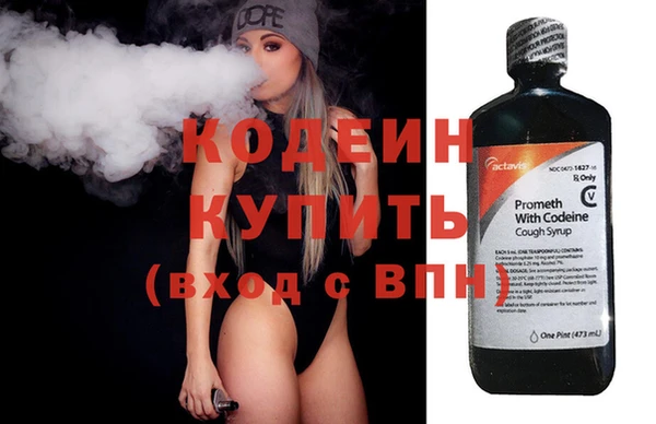 сатива Козловка