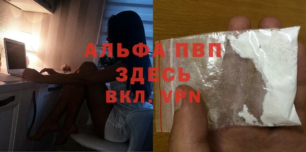 сатива Козловка