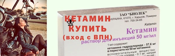 сатива Козловка