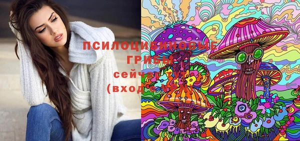 Альфа ПВП Козельск