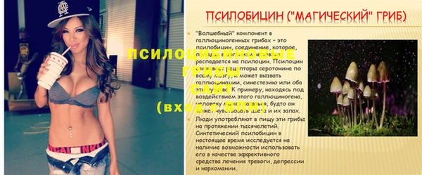 сатива Козловка