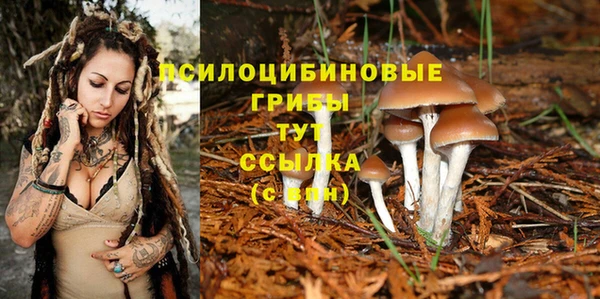 Альфа ПВП Козельск